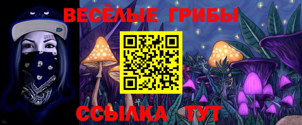 Магадан  Галлюциногенные грибы GOLDEN TEACHER  Вход с VPN 