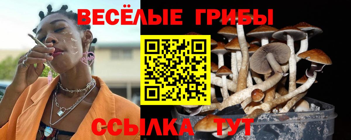 Галлюциногенные грибы мицелий Магадан